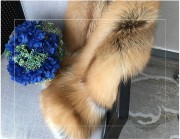 Full Fox Fur Scarf Genuine Fox Fur Shawl with Pocket