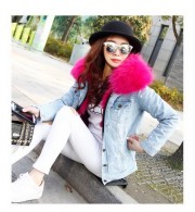 Real Fox Fur Lining with Raccoon Fur Collar Parka